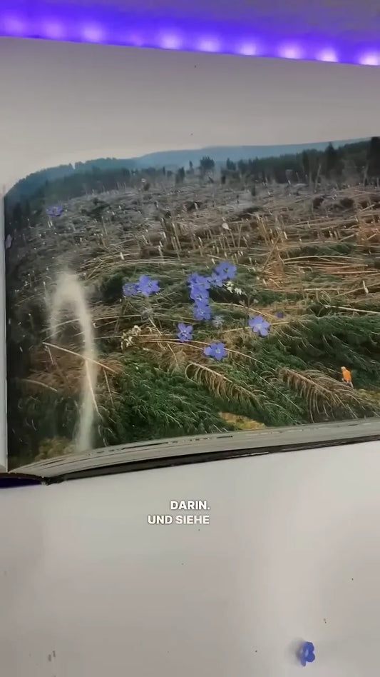 Blumen in einem dicken Buch gepresst